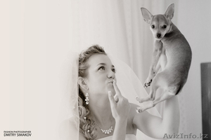 Фотограф на свадьбу #575847