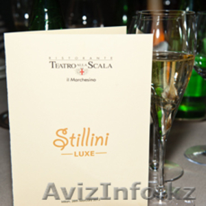 STILLINI (Стиллини) #577735