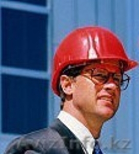 Работа на рыбном заводе (Норвегия,  Финляндии) #564192