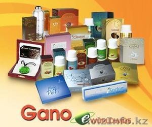 Халал препарат лечит геморрой,  простату и все другие половые болезни. #594115