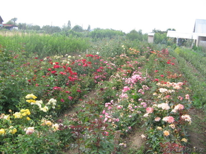 участки  в Талгарском районе #583178