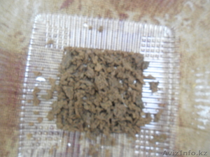 Клей галертный (костный) #585116