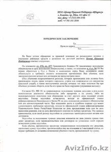 Юридическое заключение по правовым вопросам #562320