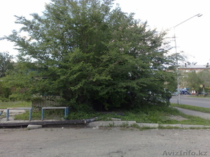 бизнес-строительство магазина для последующей сдачи в аренду или продажи #613006