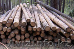 пиломатериал,  стойка рудничная,  шпалы #615087