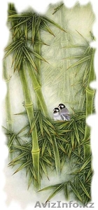 китайский массаж #610368