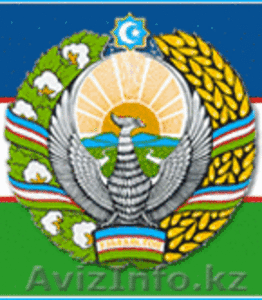 гражданские вопросы по Узбекистану #641450