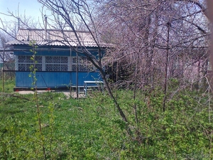 продам срочно дачу #636431