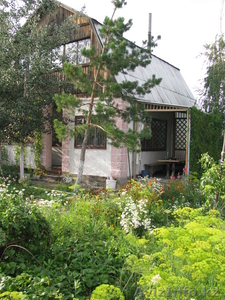 Продаётся дача в обществе Дзержинец (Михайловка) #626843