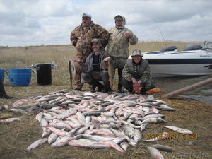 рыбалка на балхаше #613195