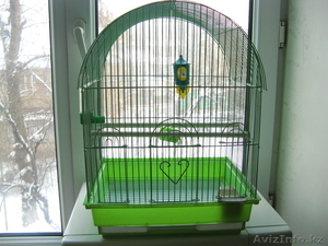 попугай волнистый клетка #624084