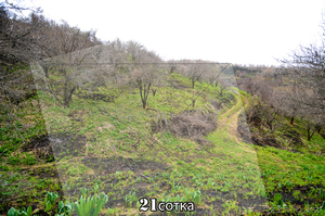 Продам или поменяю зем. участок 21 сотка.Цена:10.000$ за весь участок #629274