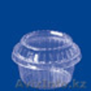 пластиковый контейнер #633187