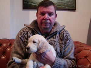 Подготовлю диссертации,  монографии,  статьи,  авторефераты  #607745