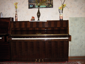 фортепиано Petrov #623735