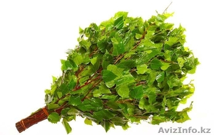 Продажа берёзовых веников #673238