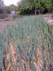 Дача по верхней каскеленской трассе #645580