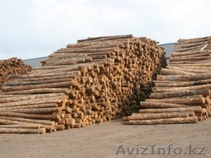 Наша компания экспортирует собственный лес и лесоматериалы с Украины. Готовы сот #672075