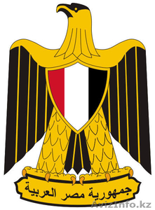  Перевод с/на арабский язык. Качественно и недорого. #646301