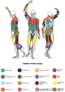 Массаж        87777797421 #643806