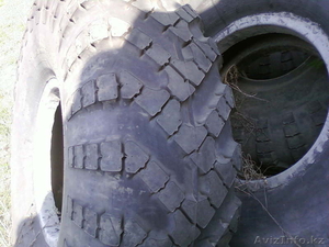 Продам спец шины , 18.00-24 #660714