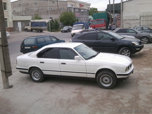 jekson_7777@mail.ru 870124274569  #669903