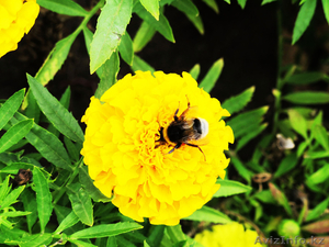 Мусатаев Алихан Келешекулы 87755050415 #648552