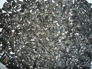 Семечки подсолнечника калиброванные #649079