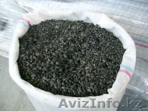 Подсолнечник кондитерских сортов калиброванный #649084