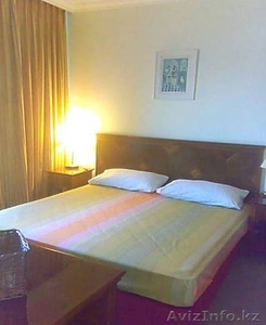 Аренда частной квартиры на берегу моря Хайфы #667720