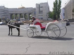 Продаю свадебную карету #644181