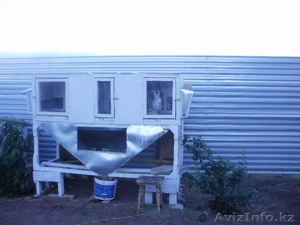 продам коттедж 180кв,  от Астаны 15 км п. Ильинка пост ГАИ #670635