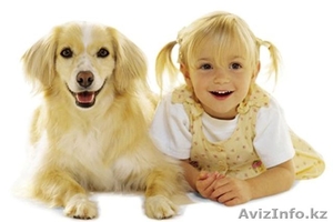 Выставки собак в Петропавловске #643209