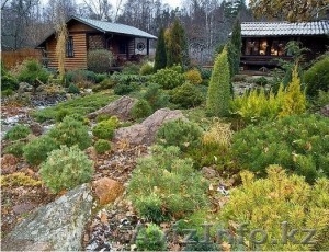 благоустройство и озелинение #554369