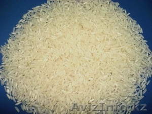 Рис   из   Ростова #700428