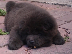 8 777 211 75 22,  l_panyukovaZ@mail.ru #685485