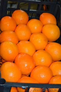 Fruit Life Company #688891