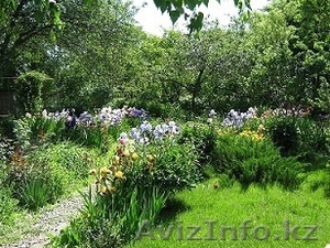 Срочно!!! В связи с выездом!!! #697034