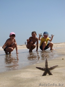 ОТДЫХАЙТЕ С НАМИ!!!!! #700170