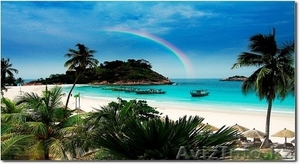 Лето за рубежом с изучением английского языка #698321