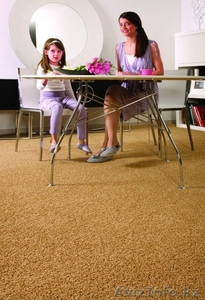 Ковролан (ковролин),  линолеум,  паркетная  доска,  ламинат,  грязезащита. #691331