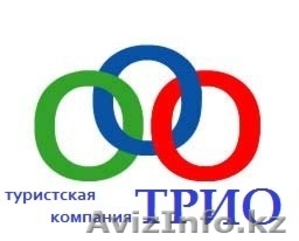 Туристская Компания 