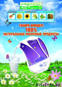 Молочные продукты #686852