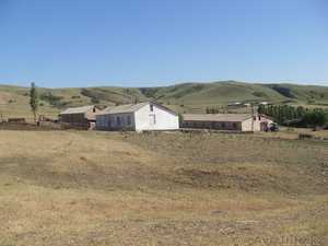 jandarov81@mail.ru #682461