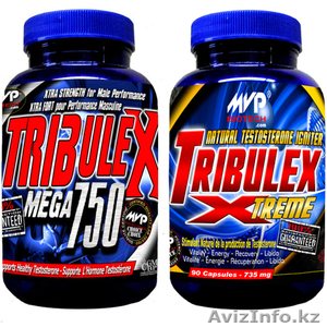 Интернет-магазин спортивного питания #675242