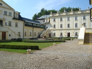 Обучение в Чехии!!! #679118