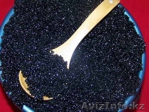 Продам черную икру (Осетровую) и живую/охлажденную рыбу #708719