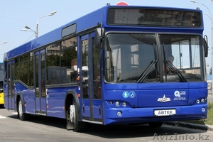 МАЗ ПО САМЫМ НИЗКИМ ЦЕНАМ #716084