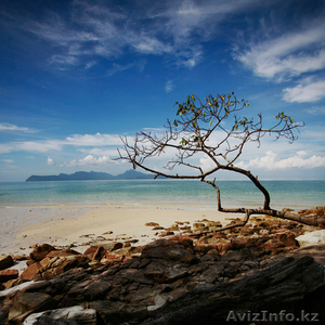 бухгалтерские услуги,  и ведение ИП и ТОО на дому #723178