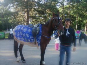 Настоящий отдых! #726769